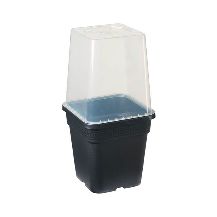 Propagator cover - Clear Propagation Lid for 11L pots