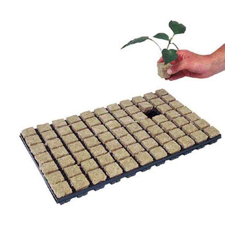 Seeding tray mineral wool 77 pcs 35x35x40mm Grodan - Slika 2