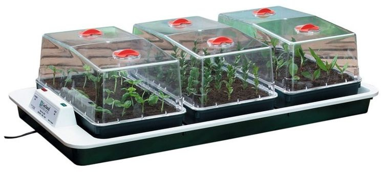 Garland electric propagator with heating & thermostat 80,5x41xh20 cm GARLAND - Slika 2