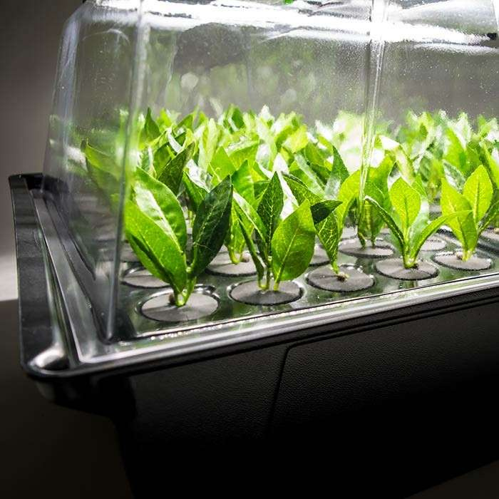 Nutriculture NC Propagator Aero/Hydro X-Stream 12, 59x46,5xh44cm - Slika 2