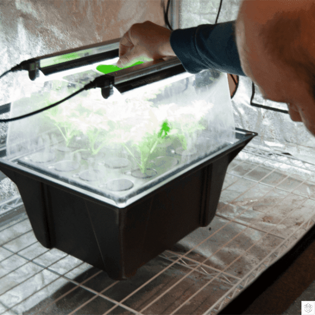 Nutriculture NC Propagator Aero/Hydro X-Stream 12, 59x46,5xh44cm - Slika 5