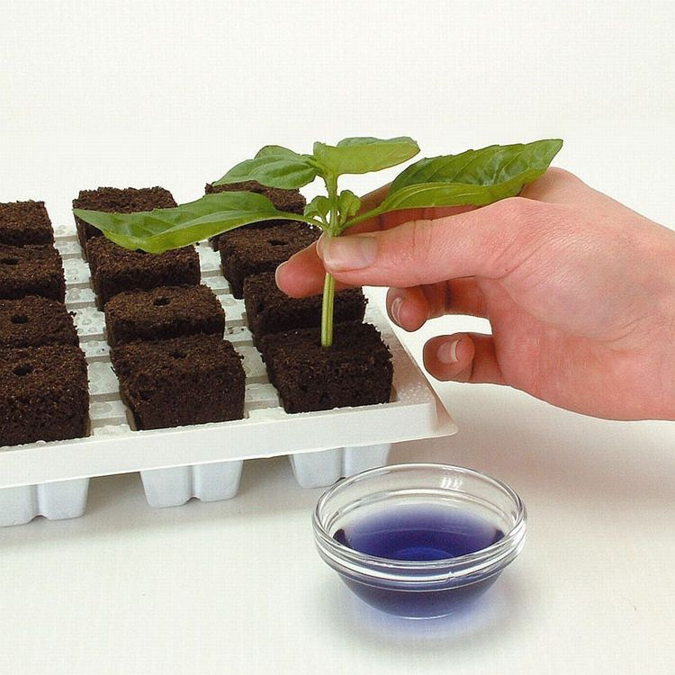 Growth Technology Root Riot 24 cubes tray - organic starter cubes for seeds and cuttings - Slika 2