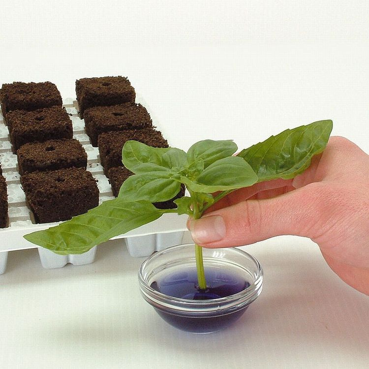 Growth Technology Root Riot 24 cubes tray - organic starter cubes for seeds and cuttings - Slika 3