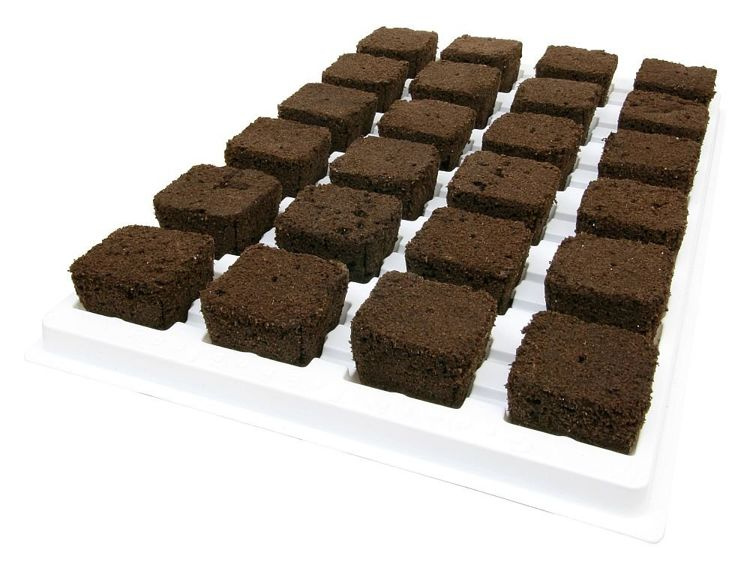 Growth Technology Root Riot 24 cubes tray - organic starter cubes for seeds and cuttings - Slika 5