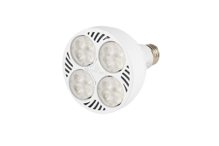 VERTICANA® Bulb 35W | WHITE | 45° lens