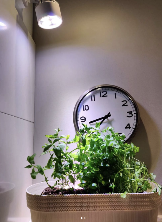 VERTICANA® Bulb 35W | BLACK | 45° lens - Slika 6