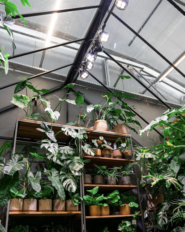 VERTICANA® Bulb 35W | BLACK | 45° lens - Slika 5