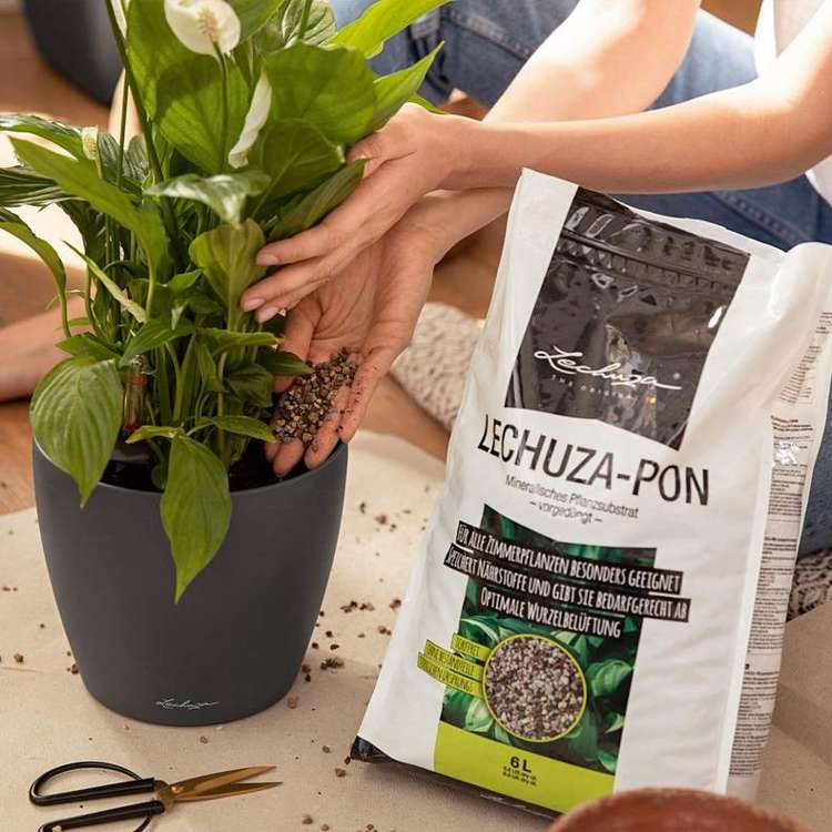 Lechuza-PON 18L - The high-quality pure mineral plant substrate alternative to soil - Slika 2