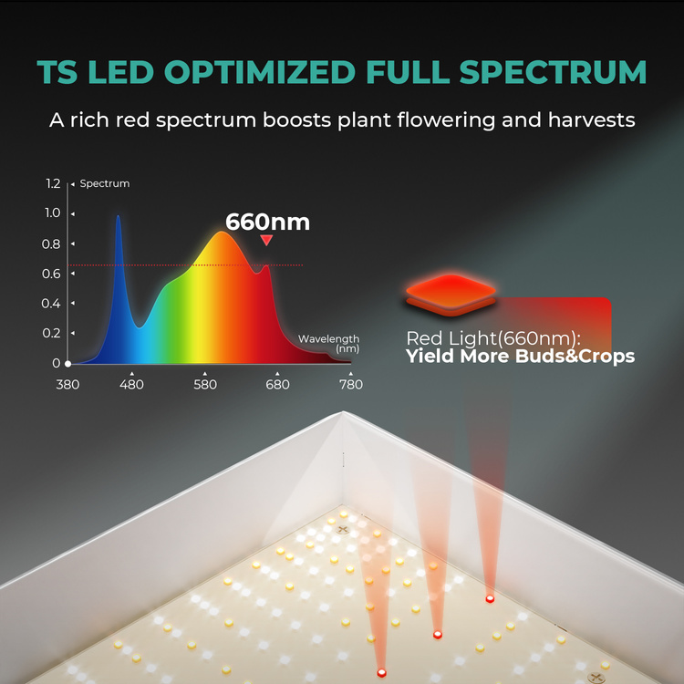 Mars Hydro TSL 2000 300W Led Grow Lamp - Slika 6