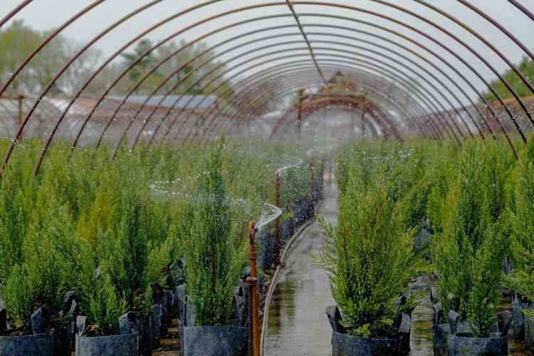 Growbag Root Pouch fabric pot 29x36cm 22L with a handle grey - Slika 16