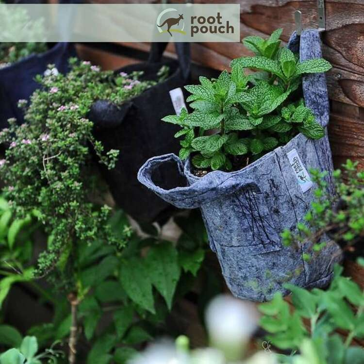 Growbag Root Pouch fabric pot 15x19cm 3,8L grey - Slika 20