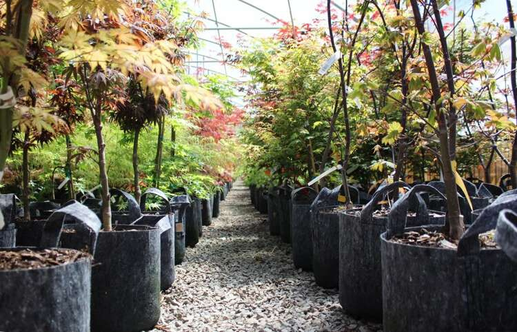 Growbag Root Pouch fabric pot 35x30cm 30L with a handle black - Slika 4