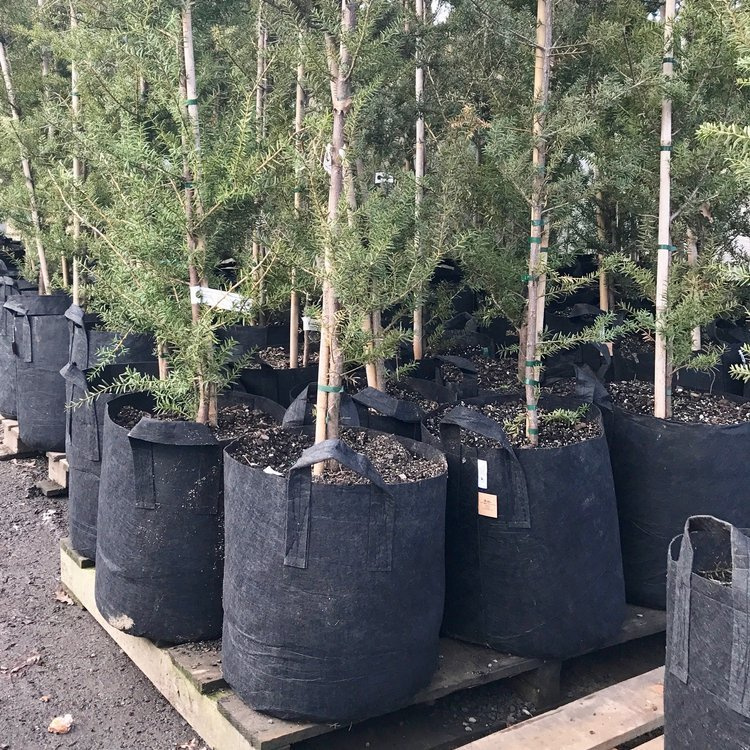 Growbag Root Pouch fabric pot 35x30cm 30L with a handle black - Slika 6