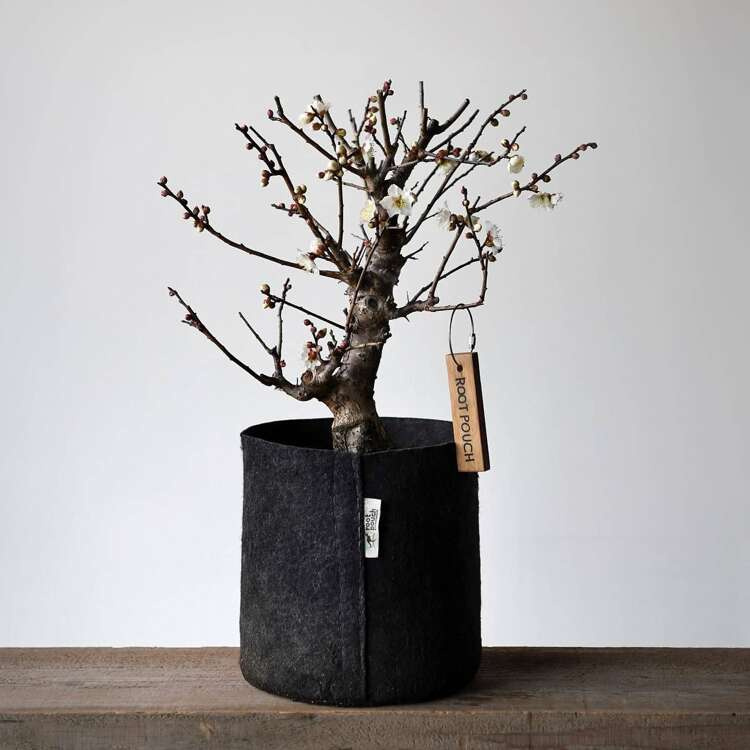Growbag Root Pouch fabric pot 35x30cm 30L with a handle black - Slika 7