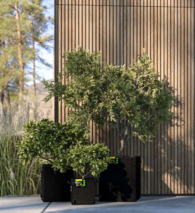 Herbgarden Jungle Bag Round 10L - fabric pot 24x24x22cm - Slika 6