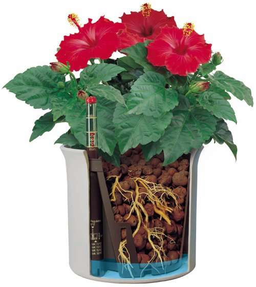 LENI hydroponics set 11/9 pot + h9 water indicator - Slika 3