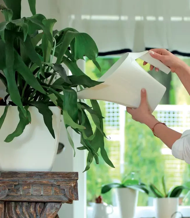 Watering can 2L Coubi, anthracite color - Slika 2