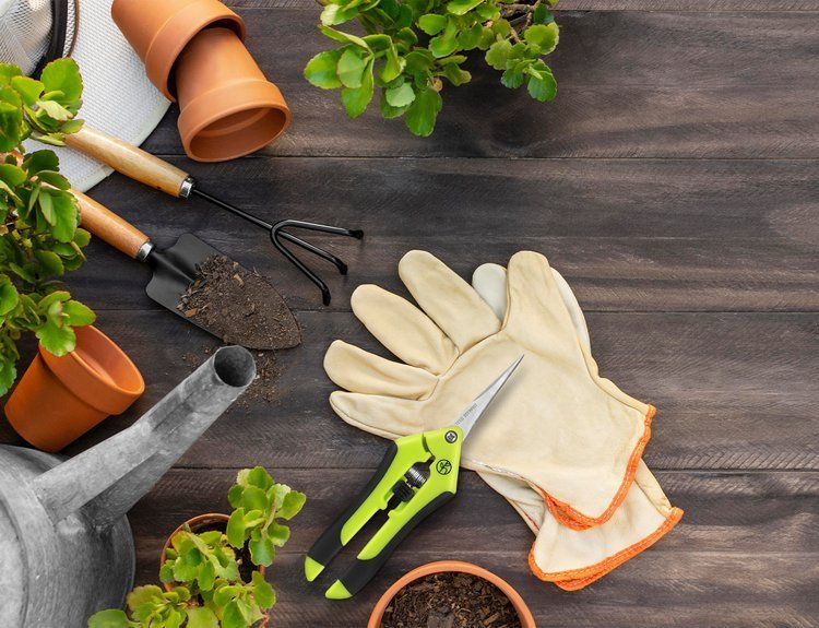 Herbgarden Trimming Scissors - Pruning Shears - plant secator WHOLESALE 1200pcs - Slika 4