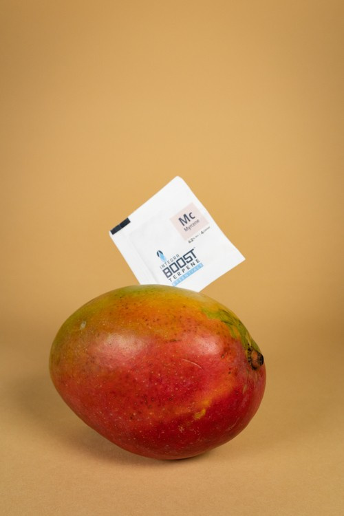 Integra Boost Terpene Essentials Myrcene 4G 62% - humidity regulator - Slika 2