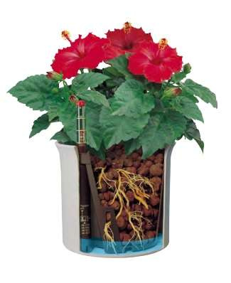 LENI hydroponics set 9/7 cover pot corona + hydro pot + h7 water indicator - Slika 3