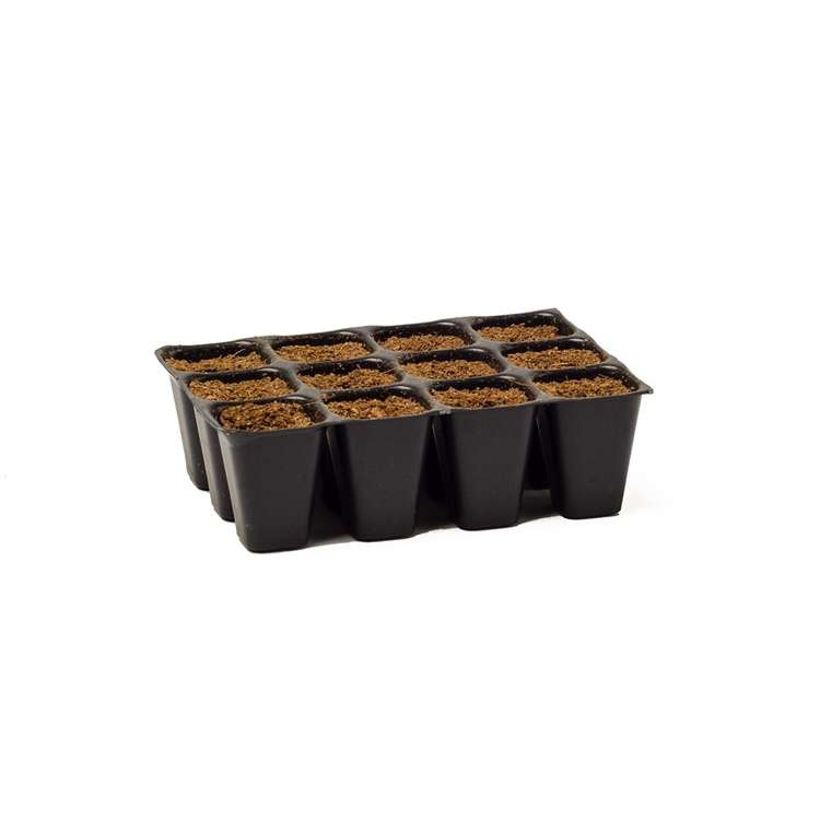 Biotabs Seedplugs - 12pcs with Starter mix for germinating seeds & transplanting seedlings - Slika 4