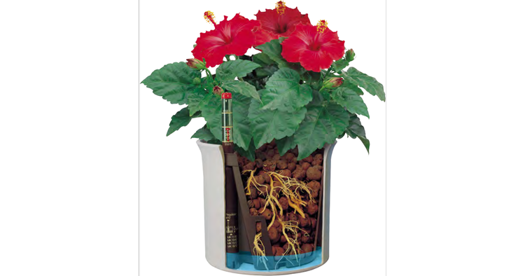 LENI hydroponics set 11/9 cover pot corona + hydro pot + h9 water indicator - Slika 3