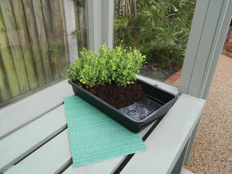 Garland Seed tray capillary Matting 34x21cm 5pcs - Slika 2