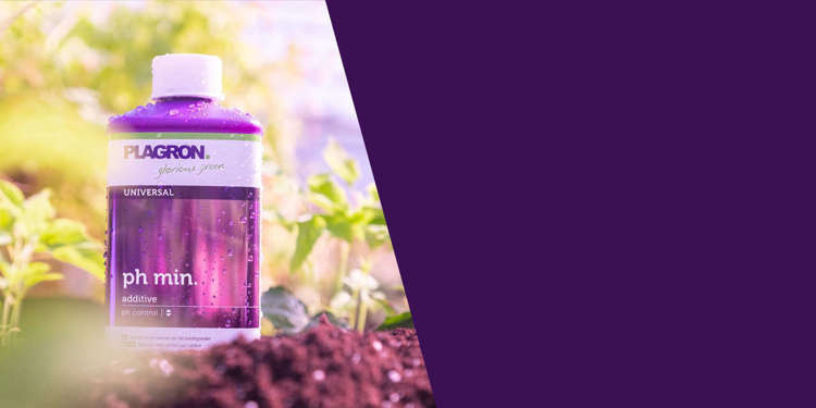 Plagron ph minus 500ml | For lowering ph - Slika 2