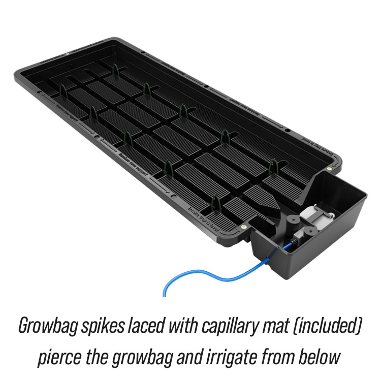 Autopot Tray2Grow system nawadniania - one tray, five uses - Slika 8