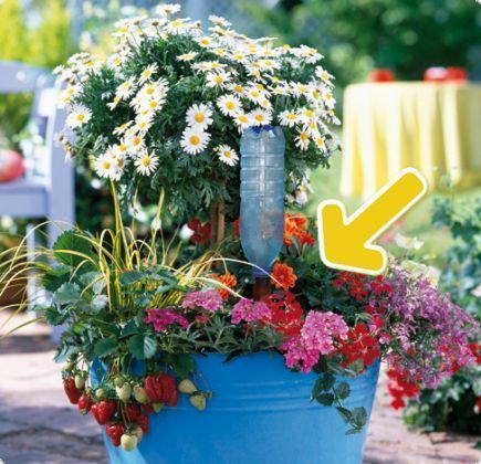 Blumat Automatic watering machine for potted flowers XL, set of 2 pcs. - Slika 3