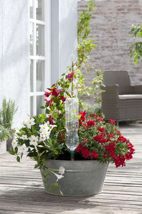 Blumat Automatic watering pots for potted flowers, 3 pcs. - Slika 4