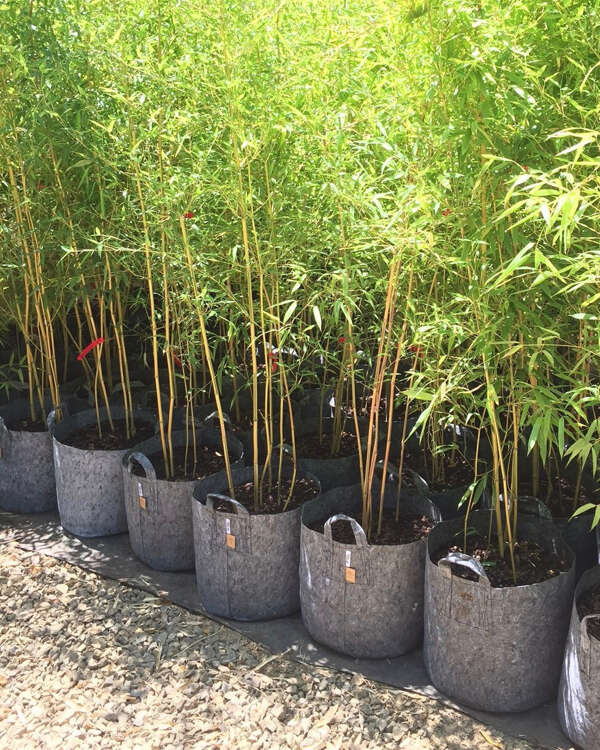 Growbag Root Pouch fabric pot 15x19cm 3,8L grey 1500 units - Slika 12