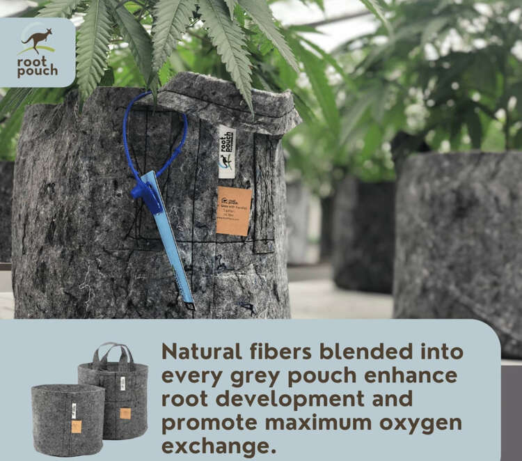 Growbag Root Pouch fabric pot 15x19cm 3,8L grey 1500 units - Slika 19
