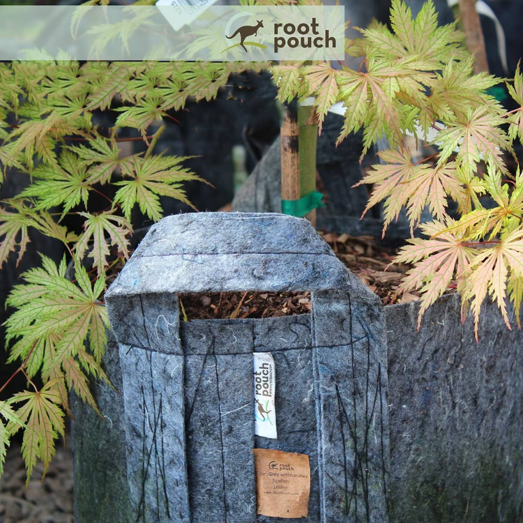 Growbag Root Pouch fabric pot 29x36cm 22L with a handle grey 350 units - Slika 4