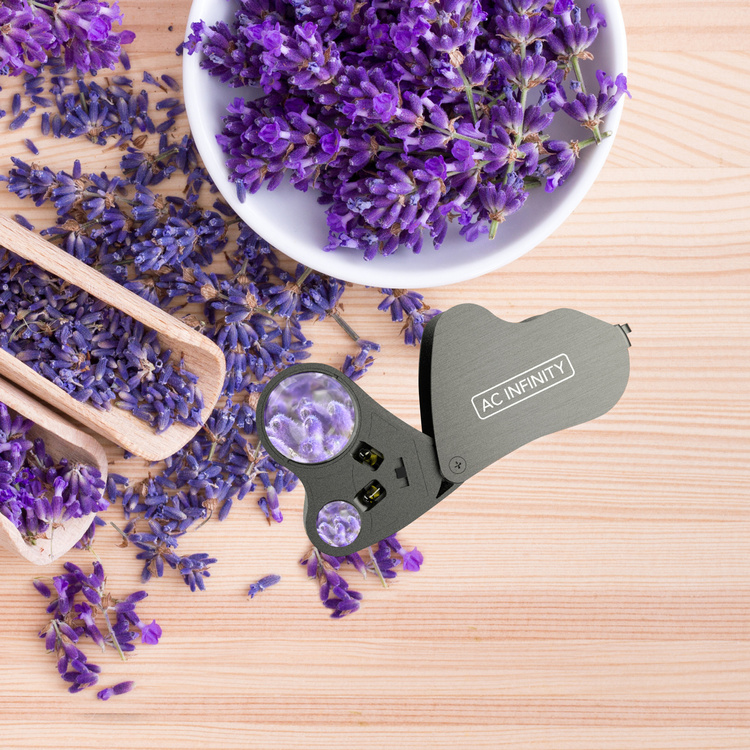 AC Infinity Magnifier LED Loupe 30x-60x - magnifying glass with LED light and dual lenses - Slika 6