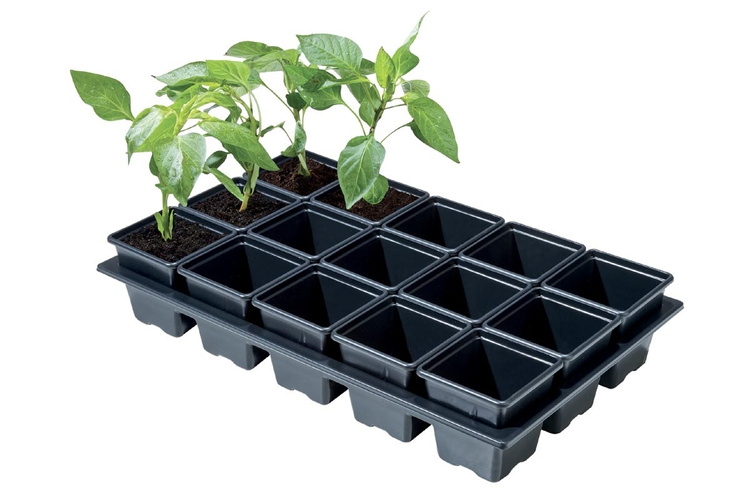 Garland Professional Mini Vegetable Tray (15 x 7cm Sq Pots) - Slika 2