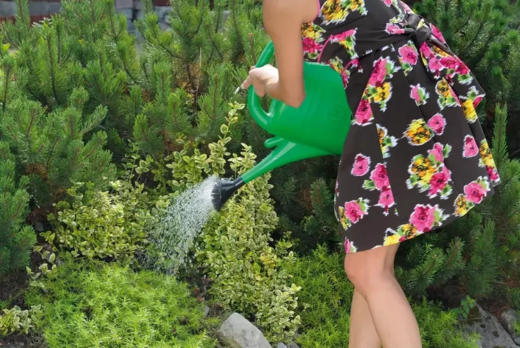 Prosperplast Watering can 14L - spring green color - Slika 3