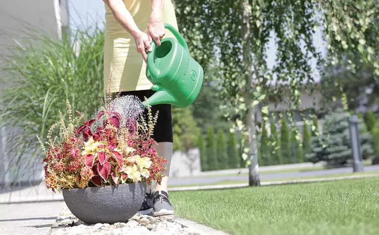 Prosperplast Watering can 14L - spring green color - Slika 4