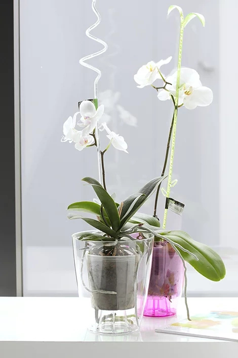 Set of Orchid Pot 1,5L + insert 0,7L - transparent Orchid growing set fi 13,2cm - Slika 5