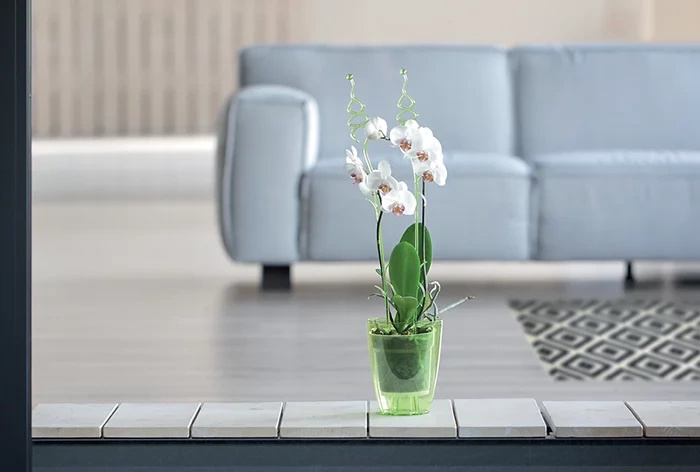 Set of Orchid Pot 1,5L + insert 0,7L - transparent Orchid growing set fi 13,2cm - Slika 6