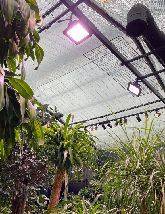 Verticana Outdoor Industrial 230W 15° - waterproof LED grow light - Slika 11