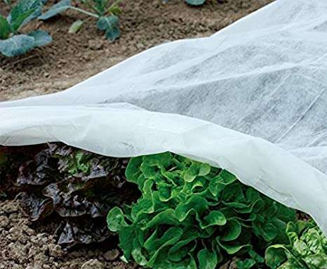 Agrofibre for plant protection 1.6x5M