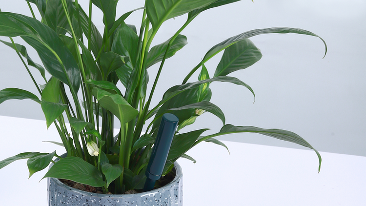 iBebot SoilQuality - Soil Moisture & Conductivity (EC) wireless sensor | data logger - Slika 3