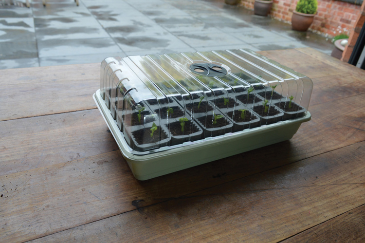 Garland 24 Cell Self Watering Fast Root Success Kit 38x23xh14cm G241 - Slika 3