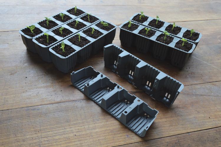 Garland 24 Cell Self Watering Fast Root Success Kit 38x23xh14cm G241 - Slika 14