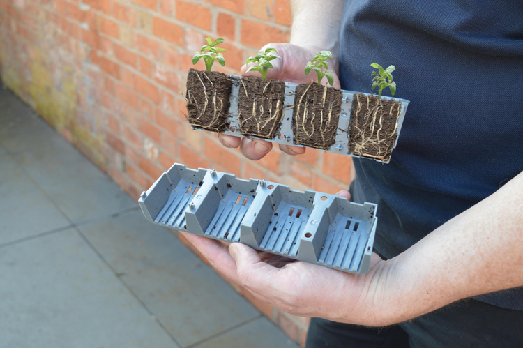 Garland 24 Cell Self Watering Fast Root Success Kit 38x23xh14cm G241 - Slika 5