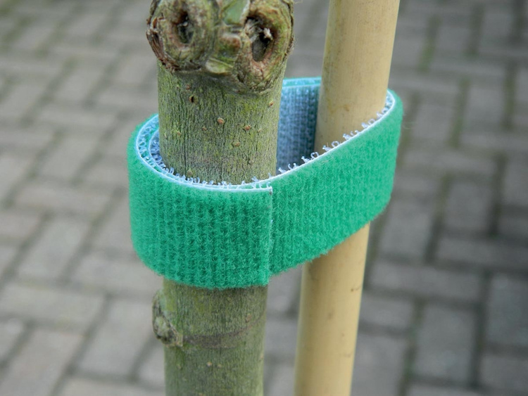 Kinzo Garden Tie 4m - velcro garden ties for garden use - Slika 3