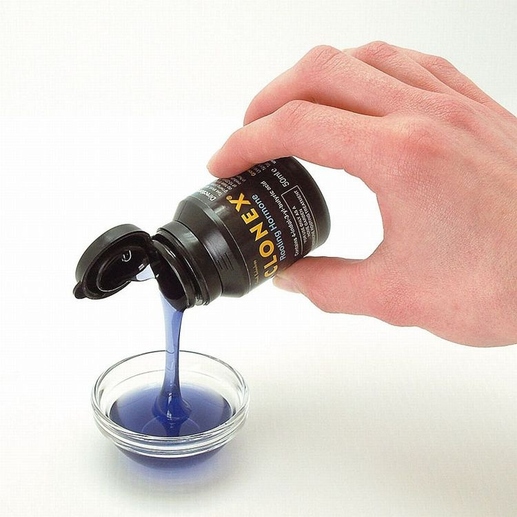 Growth Technology Root Riot 77 cubes tray - organic starter cubes for seeds and cuttings - Slika 5